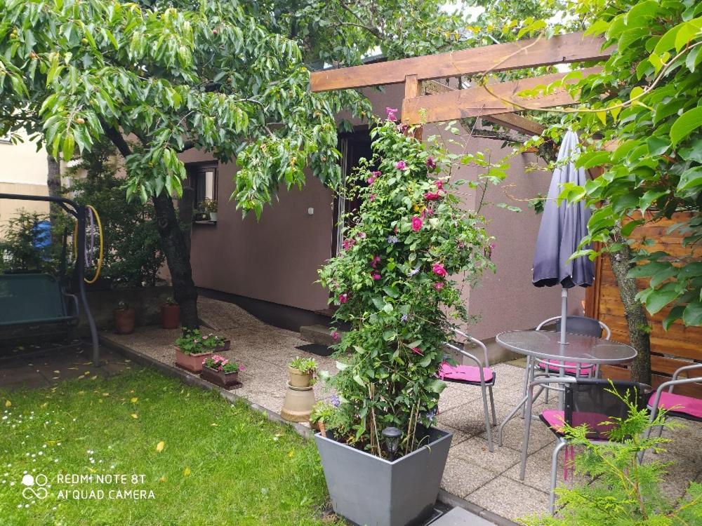 Garden Apartment Ceske Budejovice